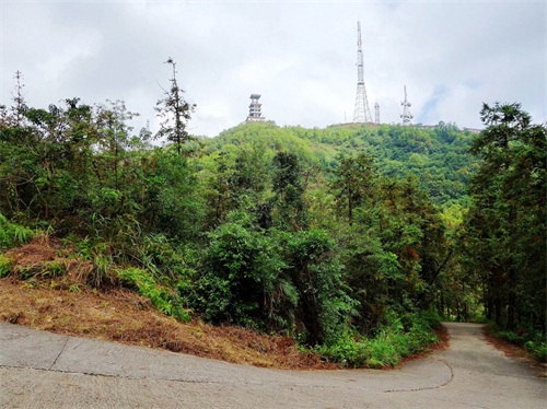 被誉为“中山十景之一”的五桂山,是珠江口最高峰,风景如画