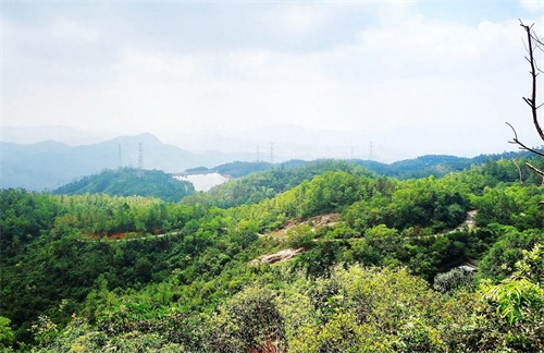 被誉为“中山十景之一”的五桂山,是珠江口最高峰,风景如画