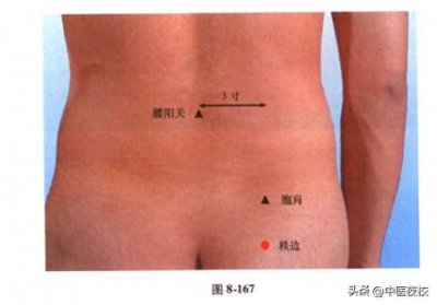 ​足太阳膀胱经——秩边穴