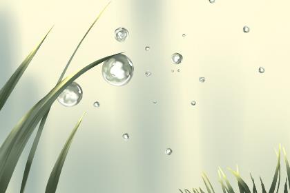 藏私房钱女朋友生气了怎么哄