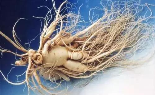 历史上武侠传说中的十大“神药”，这些神药在现实中又到底是啥？