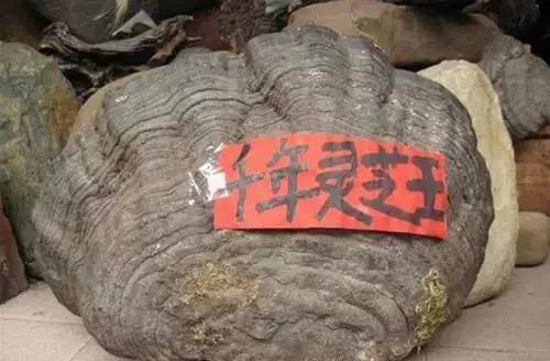 历史上武侠传说中的十大“神药”，这些神药在现实中又到底是啥？