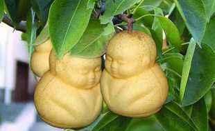 历史上武侠传说中的十大“神药”，这些神药在现实中又到底是啥？