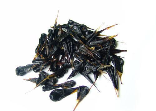 历史上武侠传说中的十大“神药”，这些神药在现实中又到底是啥？