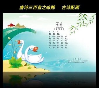 ​咏鹅是什么意思（骆宾王咏鹅这首古诗的诗意解读）