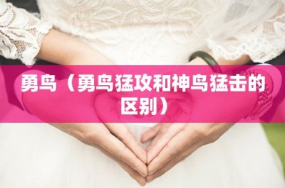 ​美国加州一老鼠获吉尼斯“最长寿老鼠”称号