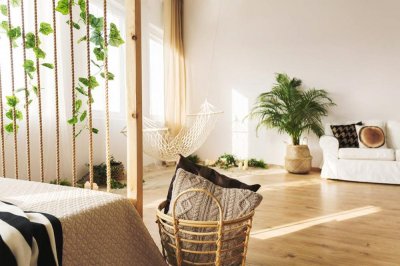 ​哪些花可以代表福禄寿喜