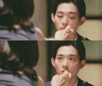 ​贤者之爱有多好看 日剧贤者之爱的剧情毁三观是真的吗