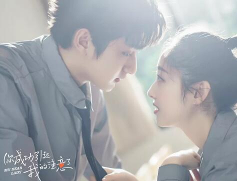 你成功引起了我的注意在哪里播