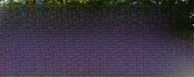 gforce是美国电动车吗？-