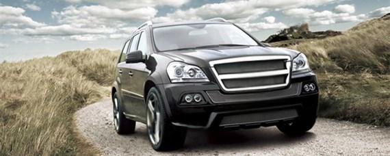 carlsson是什么车标？-