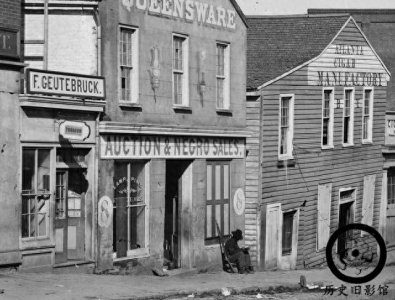 ​一组历史罕见老照片：图二是长相奇怪的类人猿，图三骑手很漂亮