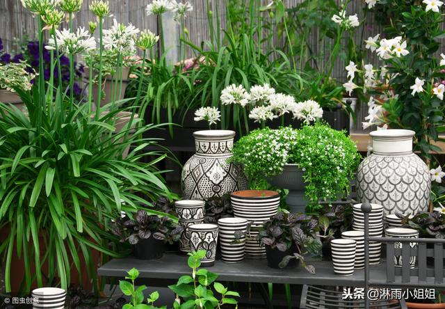 花店一般利润多少（花店利润原来这么多）(5)