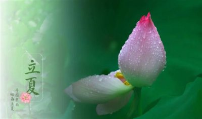 立夏有什么讲究和禁忌 立夏传统文化有哪些