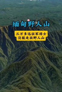 ​缅甸野人山：吞噬三万远征军的“绿色魔窟”，历史的伤痛深渊！