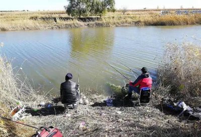 夏季钓鱼,钓友别再纠结钓深还是浅,看完你就知道怎么钓了