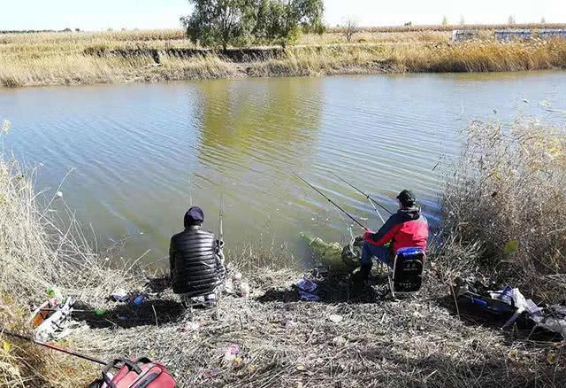 夏季钓鱼，钓友别再纠结钓深还是浅，看完你就知道怎么钓了