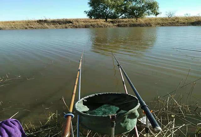 夏季钓鱼，钓友别再纠结钓深还是浅，看完你就知道怎么钓了