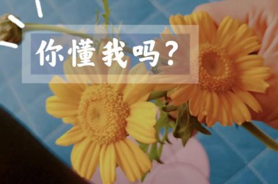 女人经常提离婚的心理(女人为什么总想离婚)