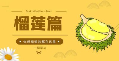 ​吃榴莲的七大禁忌（新手吃榴莲必须要知道七个事）