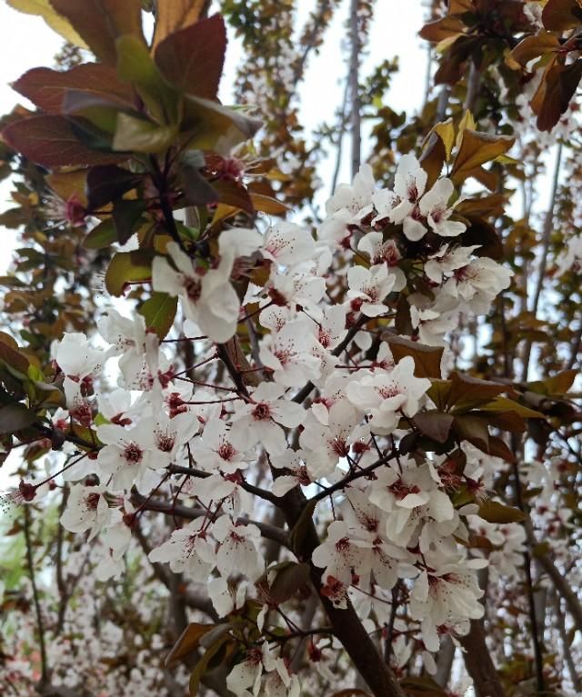 可以在家做的生意，在家里做什么能挣钱?最适合在家做的好生意？图4