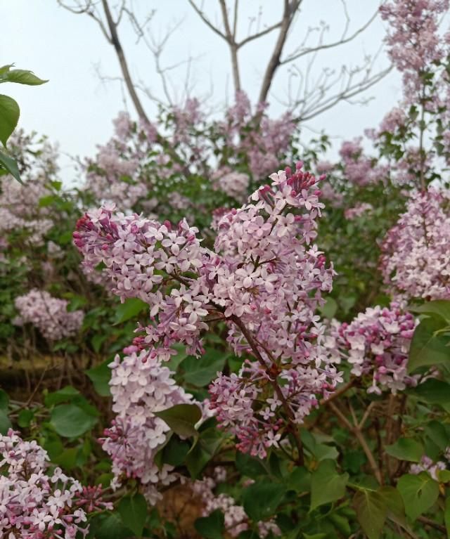 可以在家做的生意，在家里做什么能挣钱?最适合在家做的好生意？图3