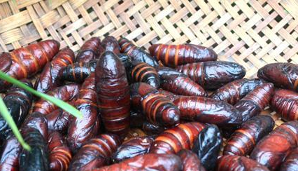 八大菜系之首,中国八大菜系之首是什么菜图4