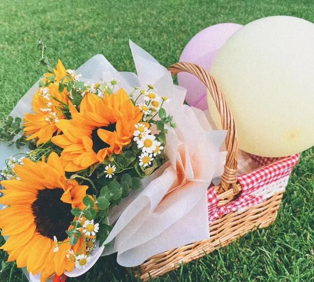 向日葵真正的花语，向日葵鲜花的花语是什么？情人节就只能送玫瑰?吗？图3