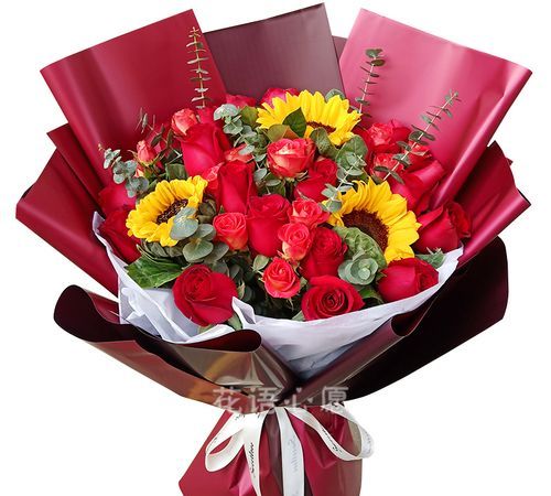 向日葵的气味和花语是什么