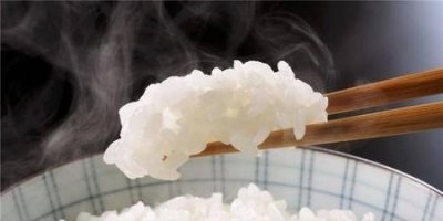 ​吃饭不吃主食只吃菜能减肥吗(减肥不吃主食的危害)