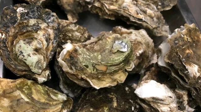 生蚝煮多久可以吃，生蚝煮几分钟可以熟？图3