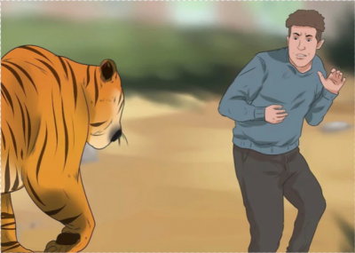 ​遇到老虎怎么办最有效（与老虎狭路相逢怎么办？不要胡来，除了躲猫猫还可以用