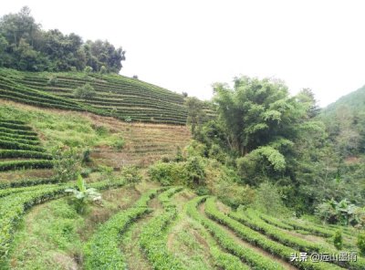 ​墨江属于哪个市（墨江隶属于云南省普洱市的一个县城）