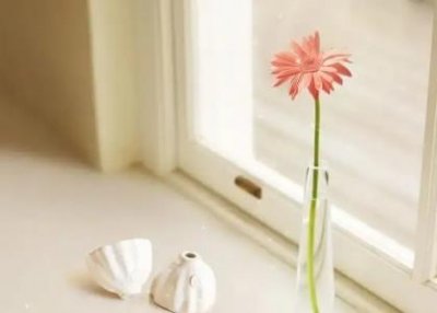 于文文承认整容整容后火的女明星都有谁