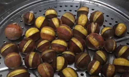 板栗树发芽了，还能移栽吗