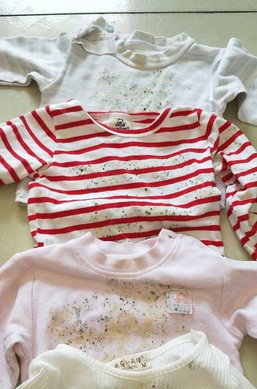 衣服发霉怎么才能洗掉霉斑