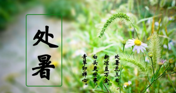 立夏祝福语简短,立夏祝福语图2