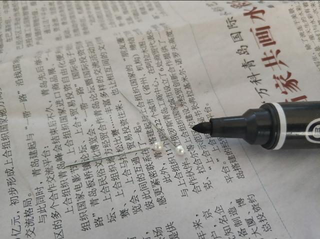 草苗龟的饲养方法（草头娃娃如何种植一只）(13)