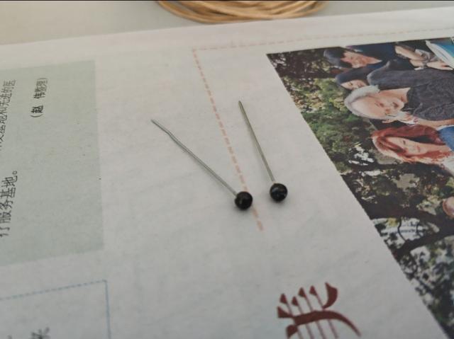 草苗龟的饲养方法（草头娃娃如何种植一只）(14)