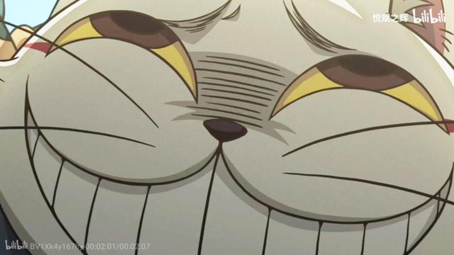 草苗龟的饲养方法（草头娃娃如何种植一只）(22)