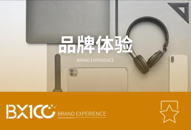 高端产品和低端品牌哪个好（划重点品牌三问）(5)