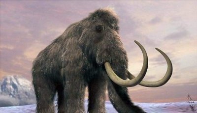 冰河期间隔多少年,冰河期间隔多少年?