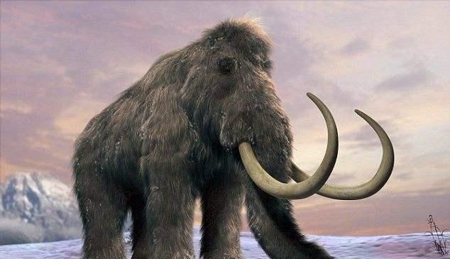 冰河期间隔多少年