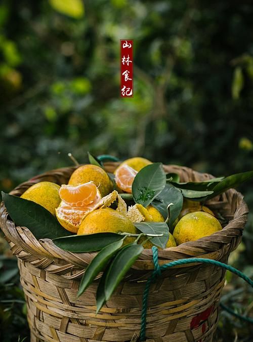 一年好景君必记最是橙黄橘绿时是什么意思