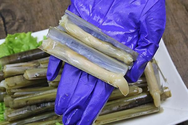 蛏子有寄生虫吗 有可能会有