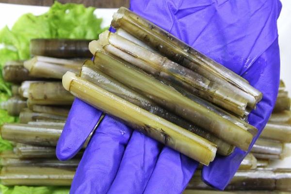 蛏子有寄生虫吗 有可能会有