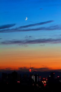 形容月色很美的诗句有哪些(诗词里的月亮有多美?一同感受这份跨越古今的优雅