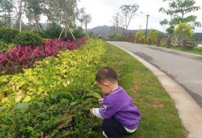 单亲妈妈养的男孩子