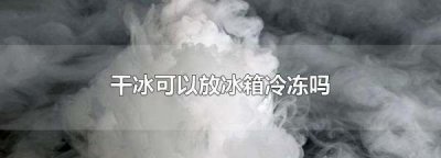 干冰能放冰箱冷冻室,干冰可以放冰箱冷冻吗