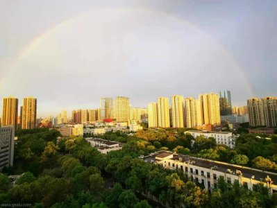 2025全国电子科学与技术专业大学排名及分数线